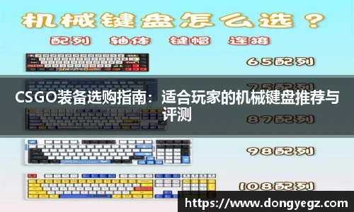 CSGO装备选购指南：适合玩家的机械键盘推荐与评测